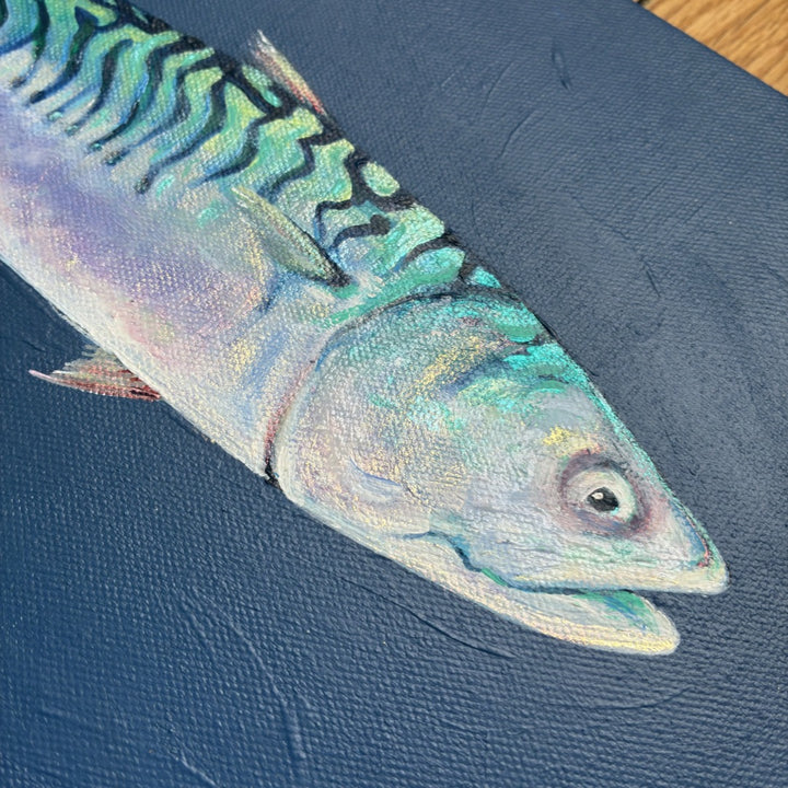 The Dapper Mackerel