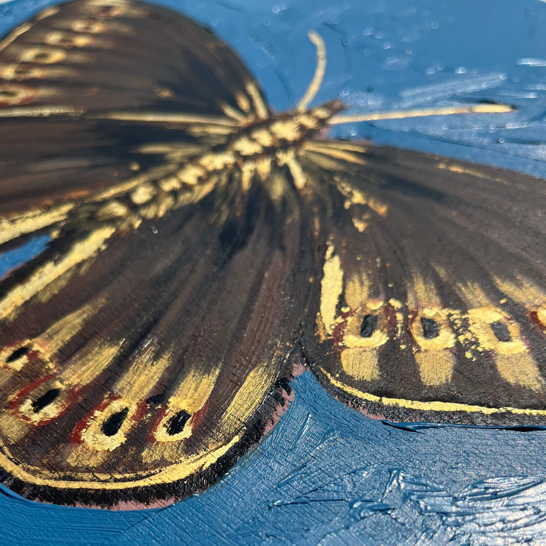 Highland Elegance- Mountain Ringlet butterfly with 23ct gold embellishment