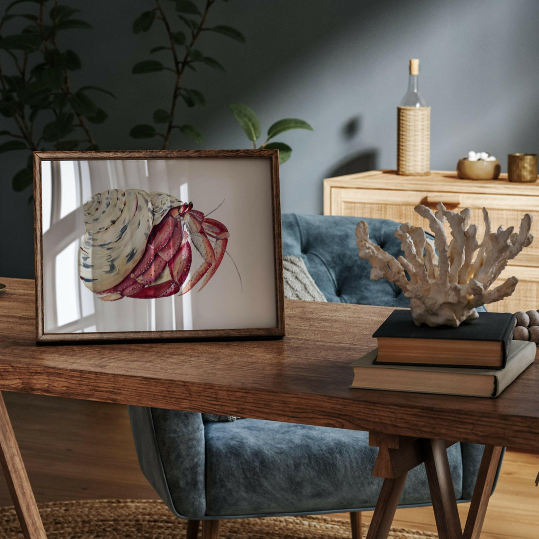 Premium collection: The wonder of the shore.