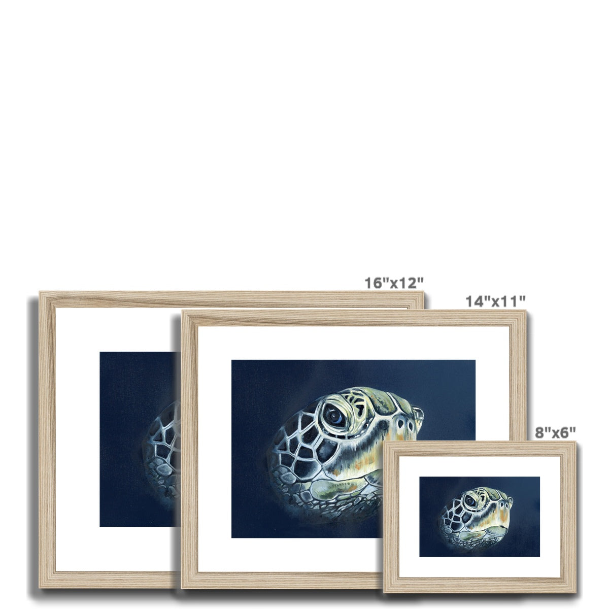 Turtle head Framed & Mounted Print