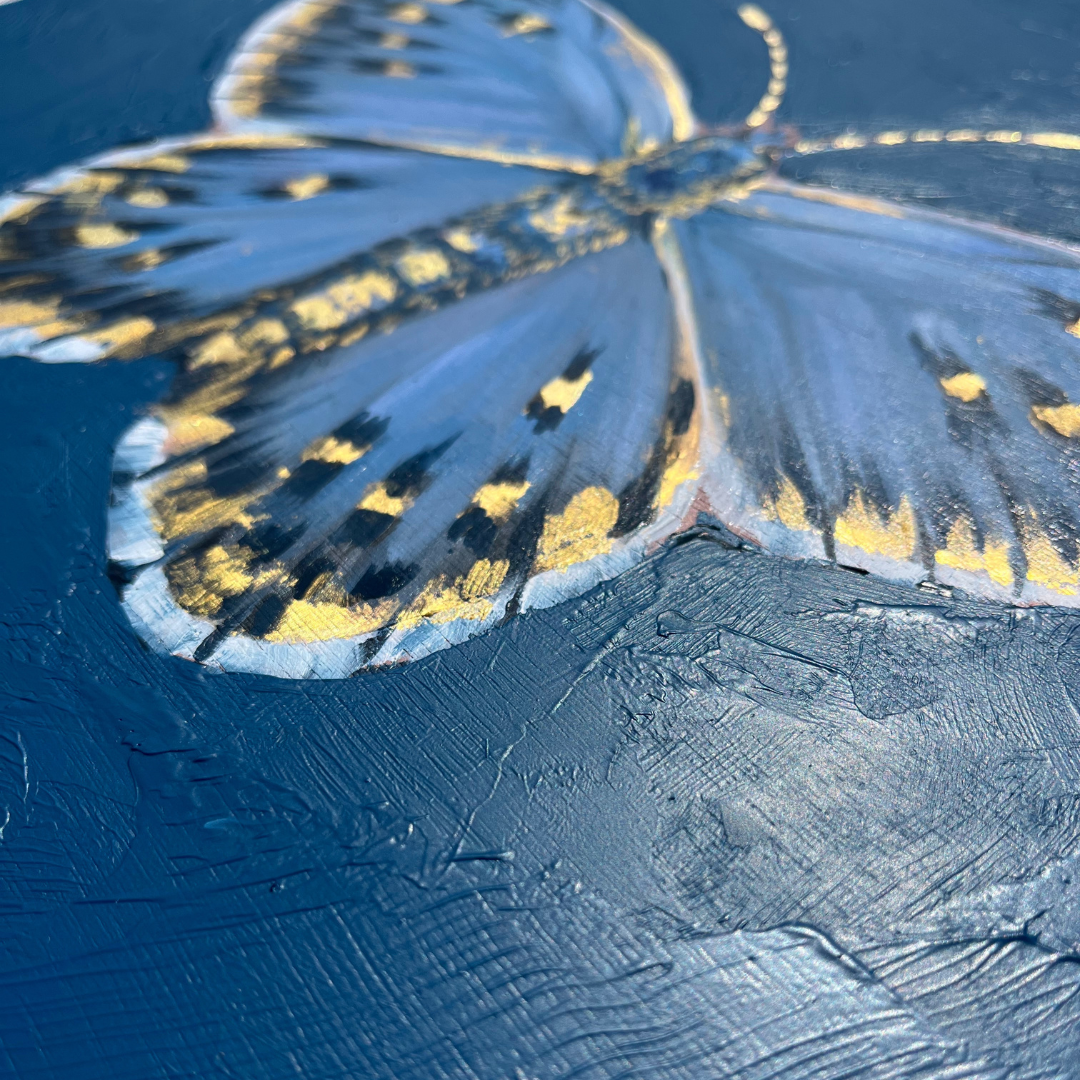 Adonis butterfly oil painting close up 
