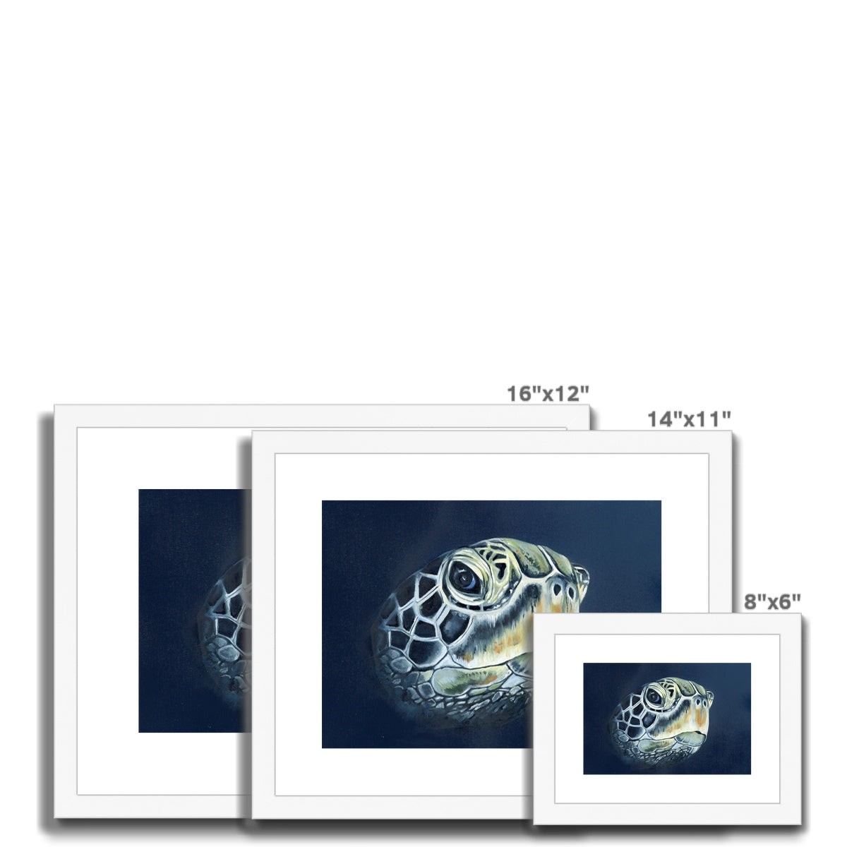 Turtle head Framed & Mounted Print