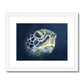 Turtle head Framed & Mounted Print