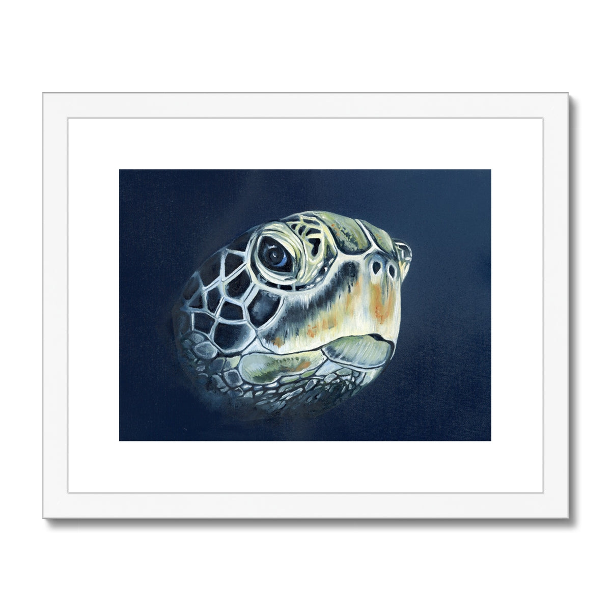 Turtle head Framed & Mounted Print