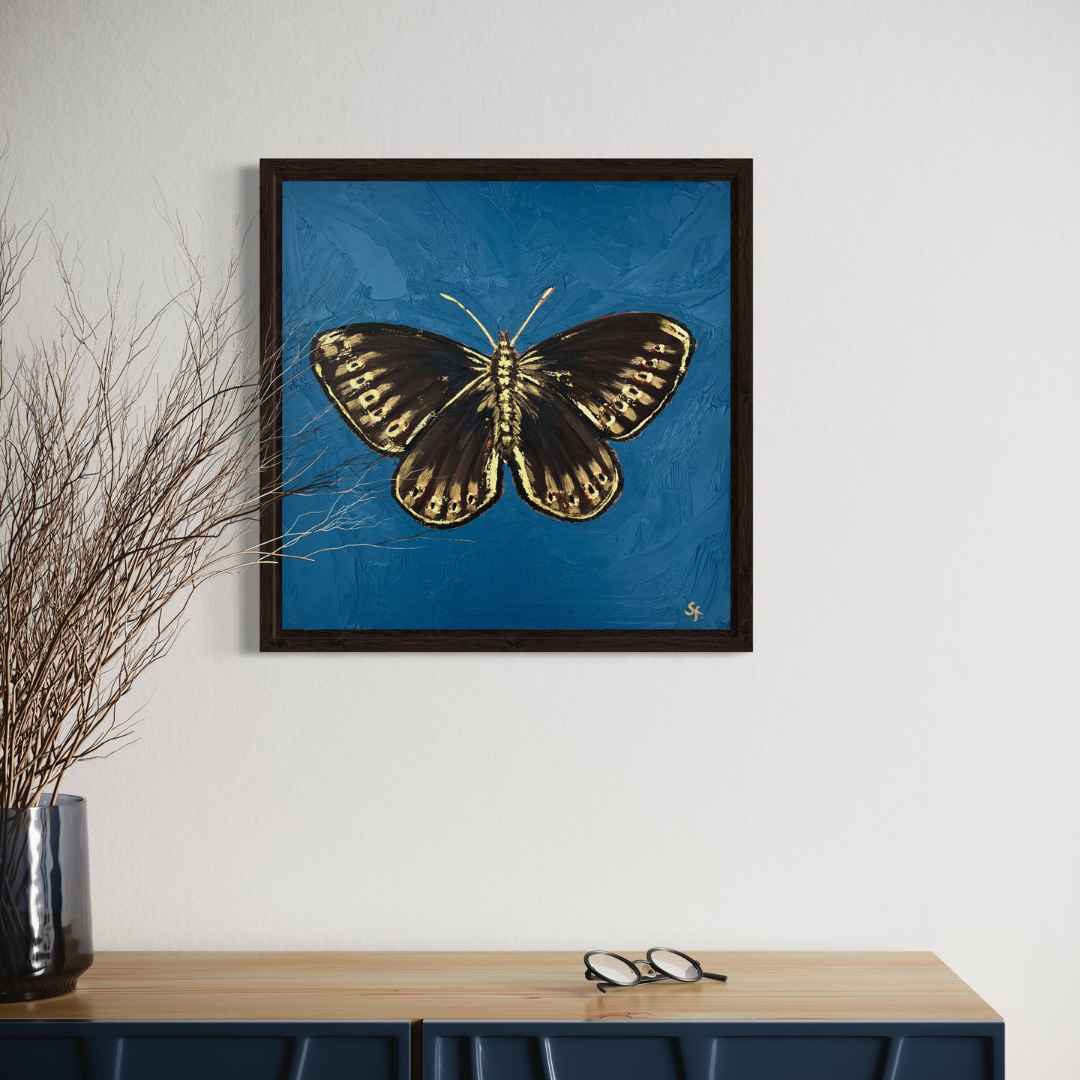 Highland Elegance- Mountain Ringlet butterfly with 23ct gold embellishment
