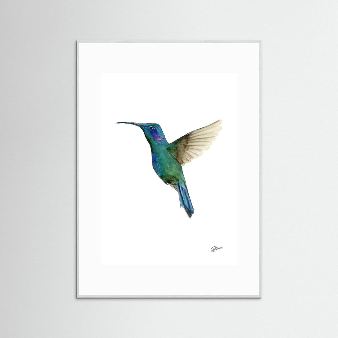 Hummingbird in Flight | Fine Art Print