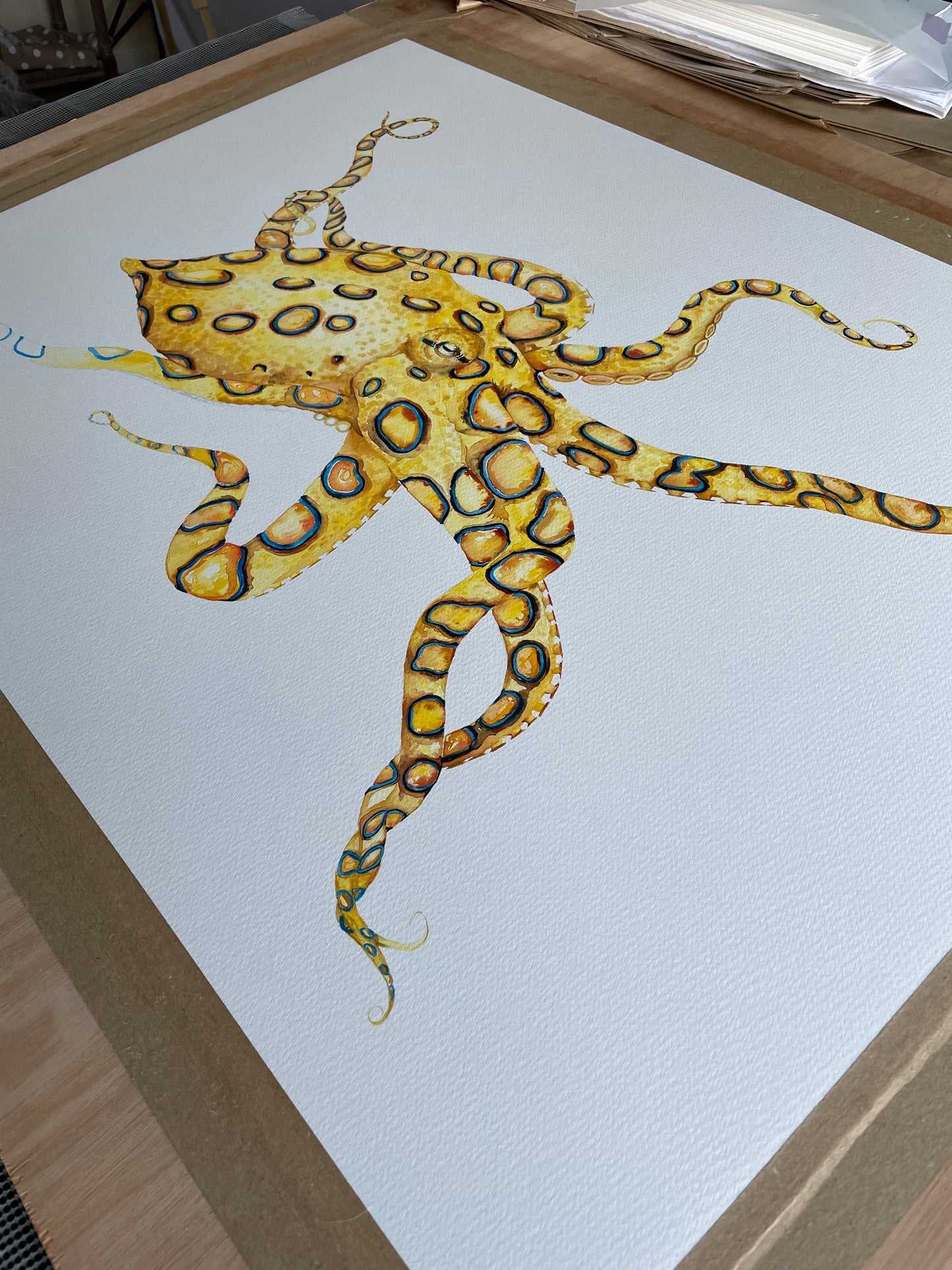 Blue Ringed Octopus - Original Framed Watercolour
