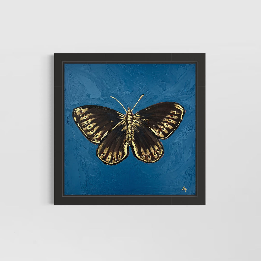Highland Elegance- Mountain Ringlet butterfly with 23ct gold embellishment
