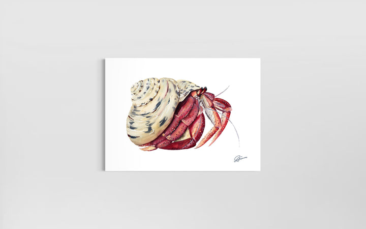 Premium collection: The wonder of the shore.