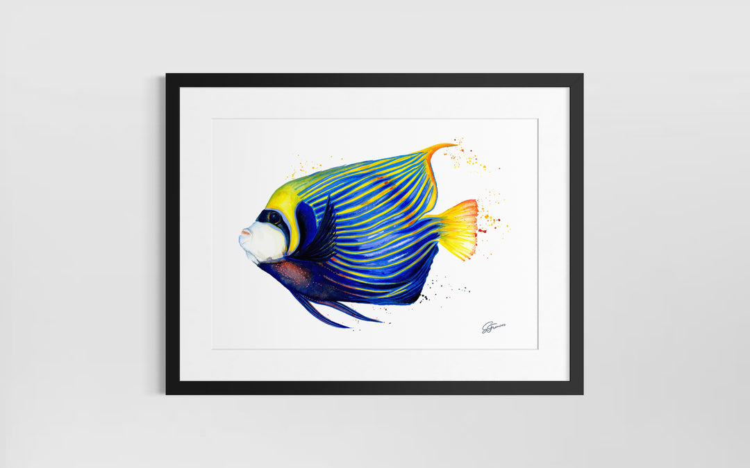 Framed artwork of a colorful fish on a white background