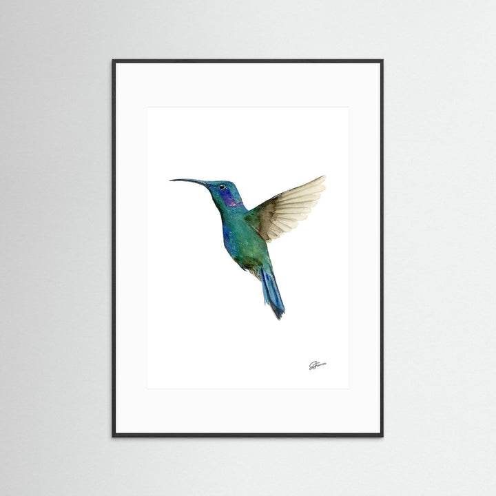 Hummingbird in Flight | Fine Art Print