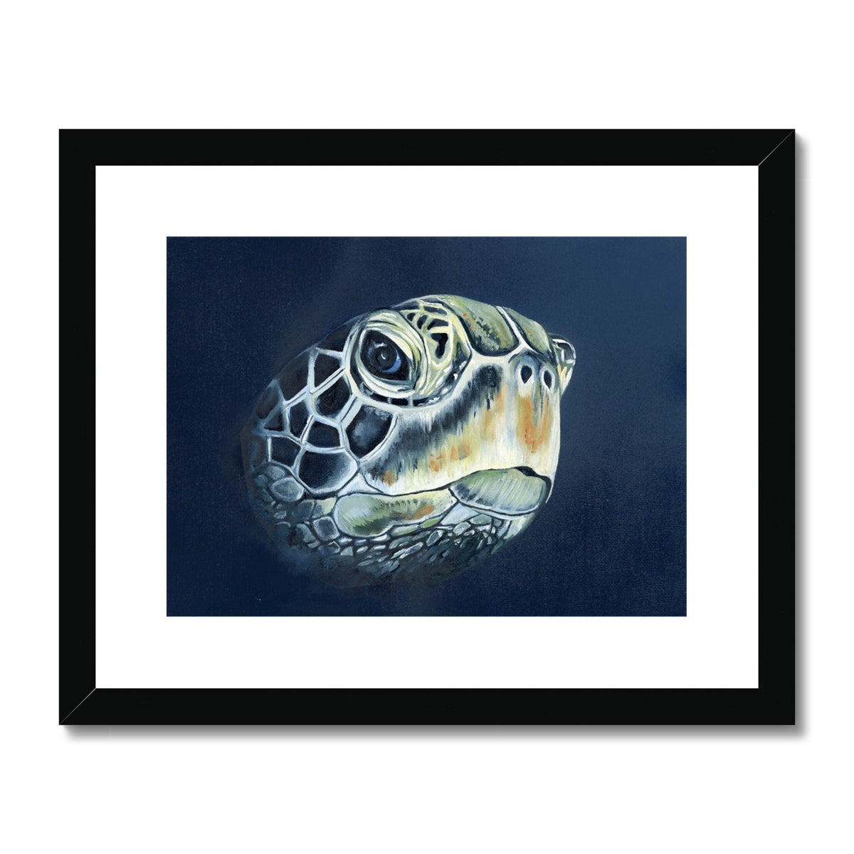 Turtle head Framed & Mounted Print