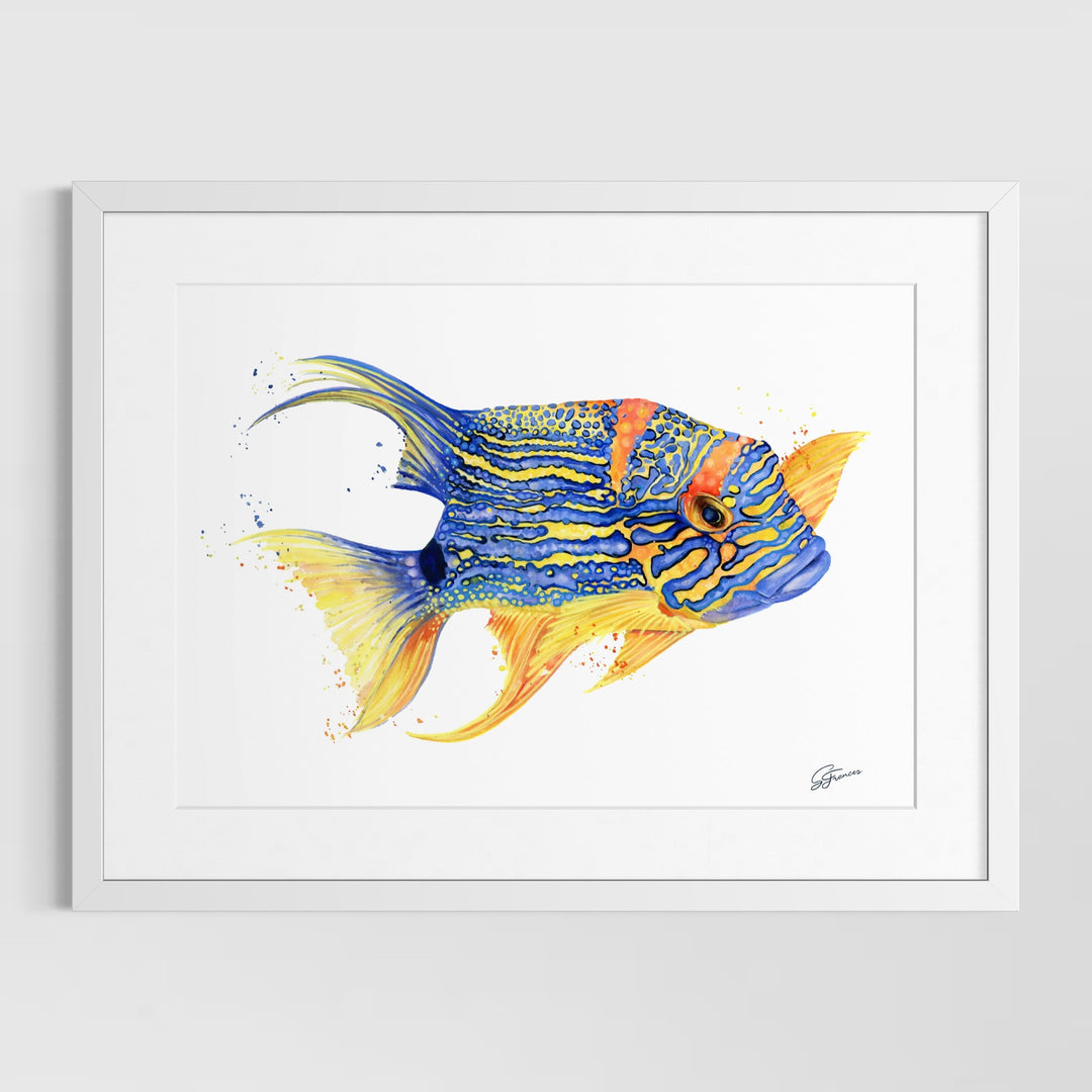 Framed artwork of a colorful fish on a white background