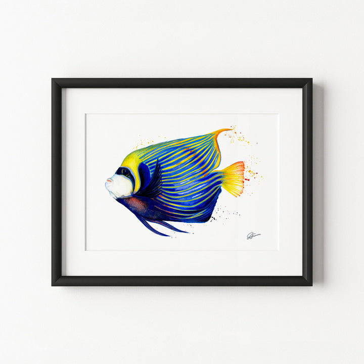Framed artwork of a colorful fish on a white background