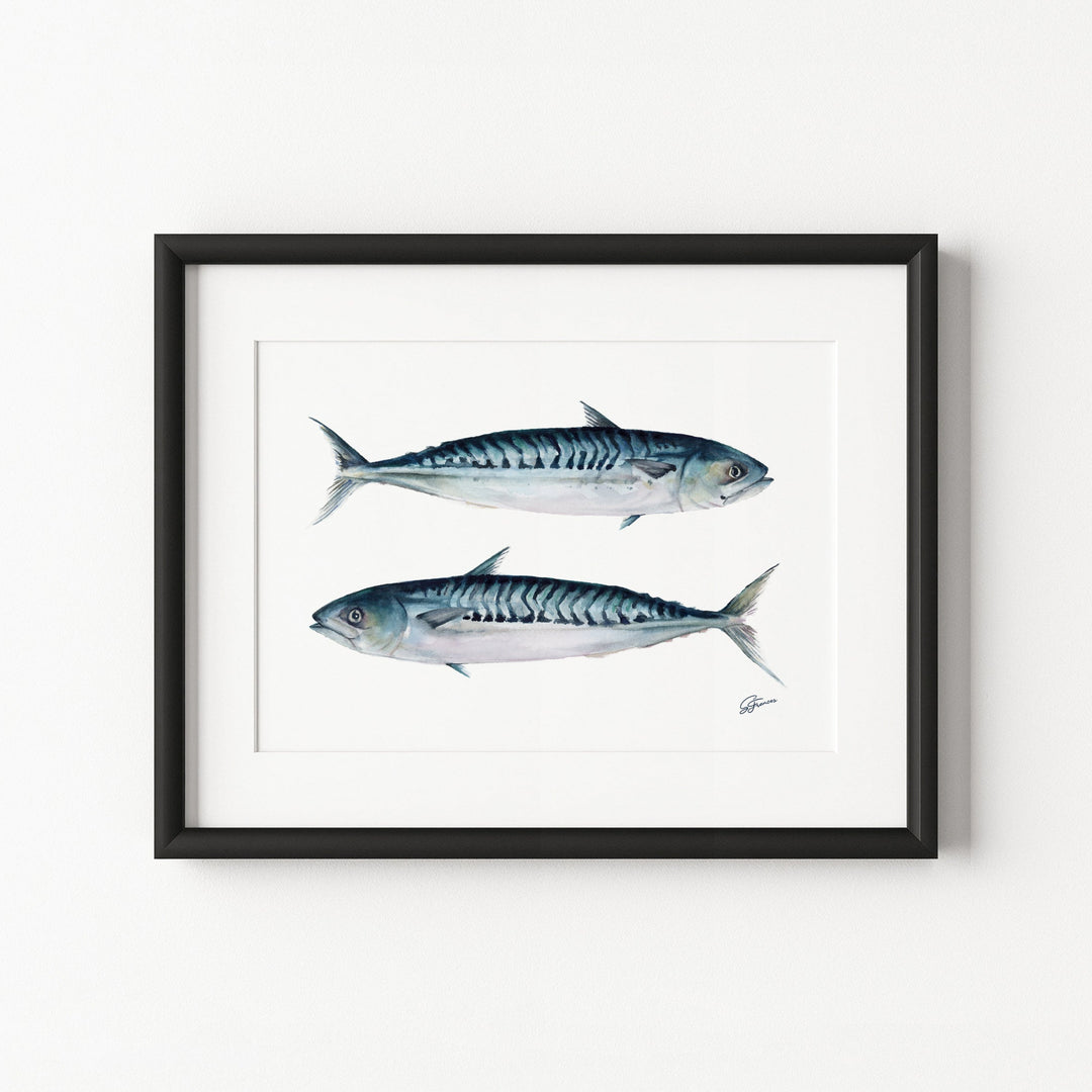 Framed artwork of two mackerel fish on a white background