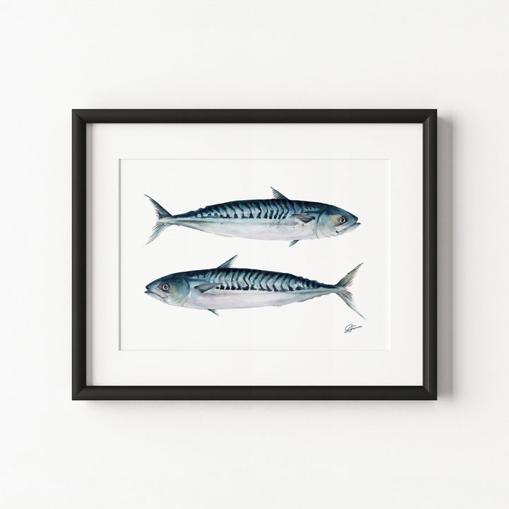 Framed artwork of two mackerel fish on a white background
