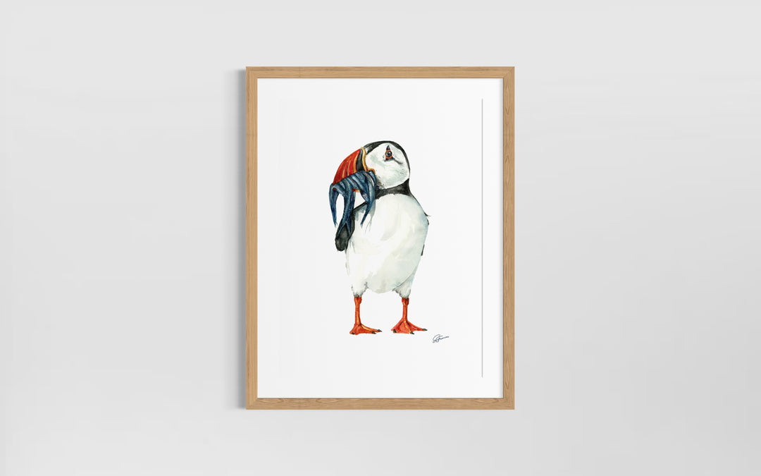 Clown of The Sea Watercolour Fine Art Print |  Premium Collection