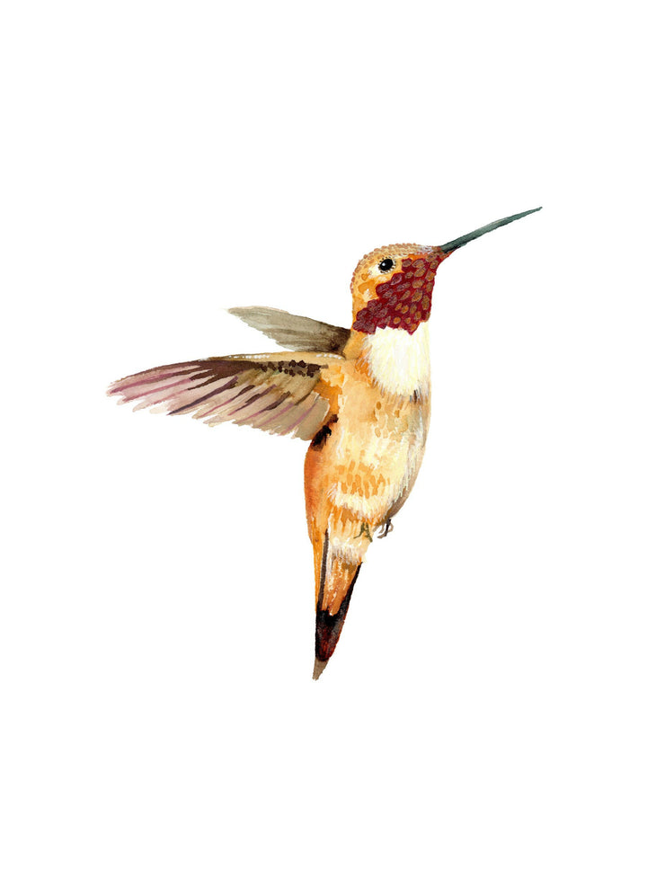 Flight of Elegance - Hummingbird Fine Art Hand Embellished Print