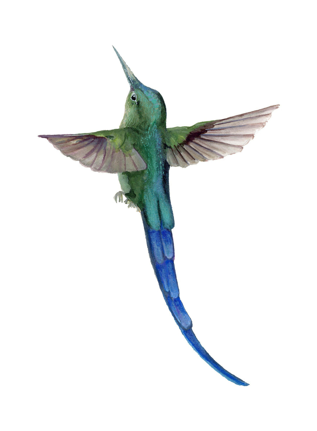Sylphic Radiance -Hummingbird Fine Art Hand Embellished Print