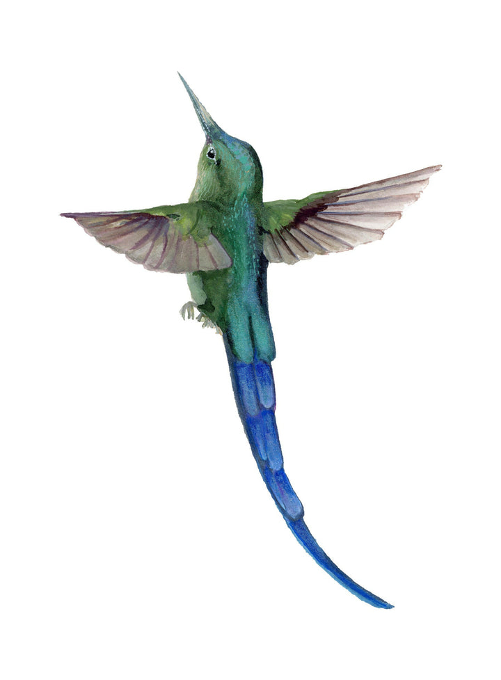 Sylphic Radiance -Hummingbird Fine Art Hand Embellished Print