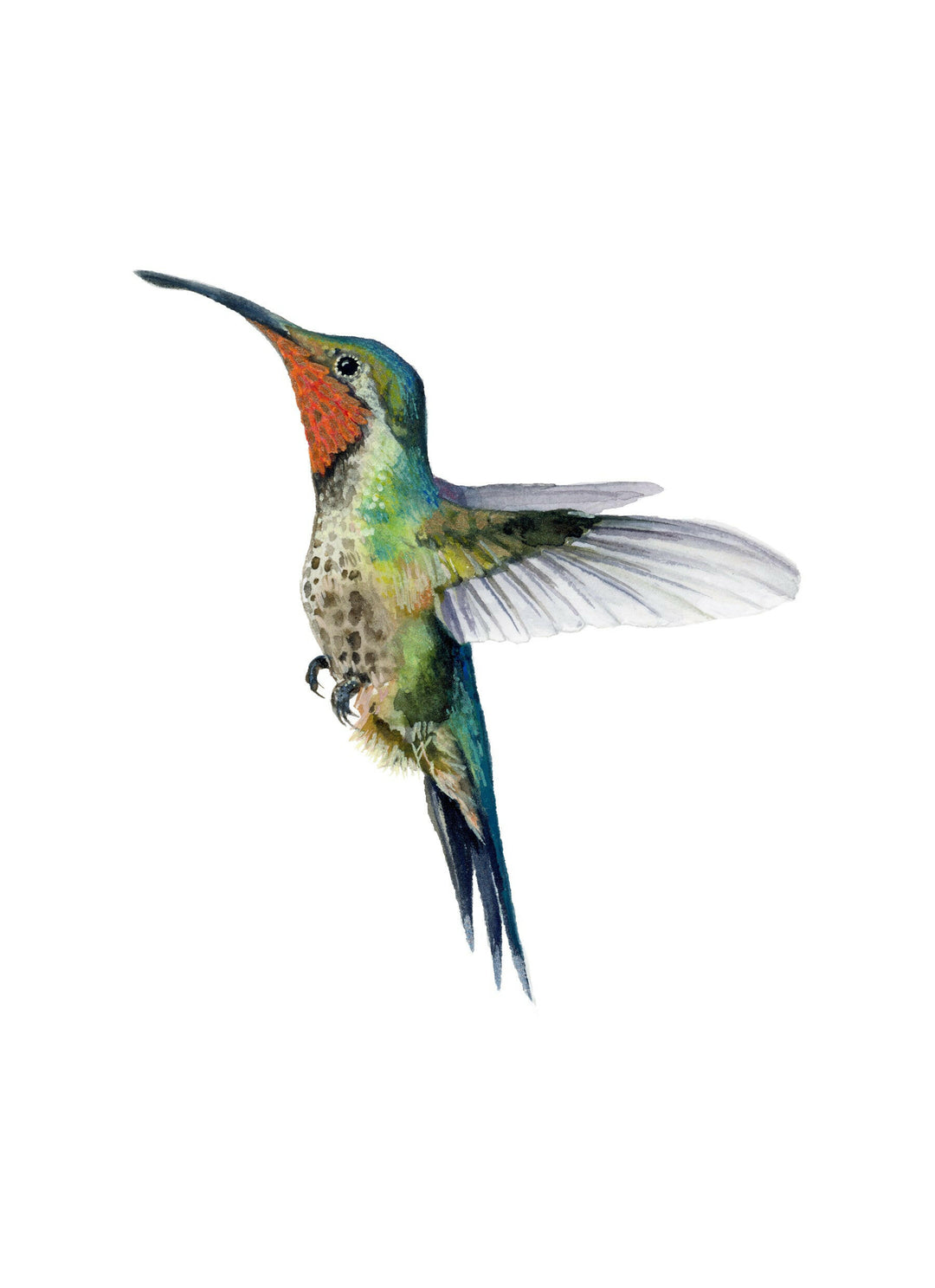 Hummingbird's Dance -Hummingbird Fine Art Hand Embellished Print