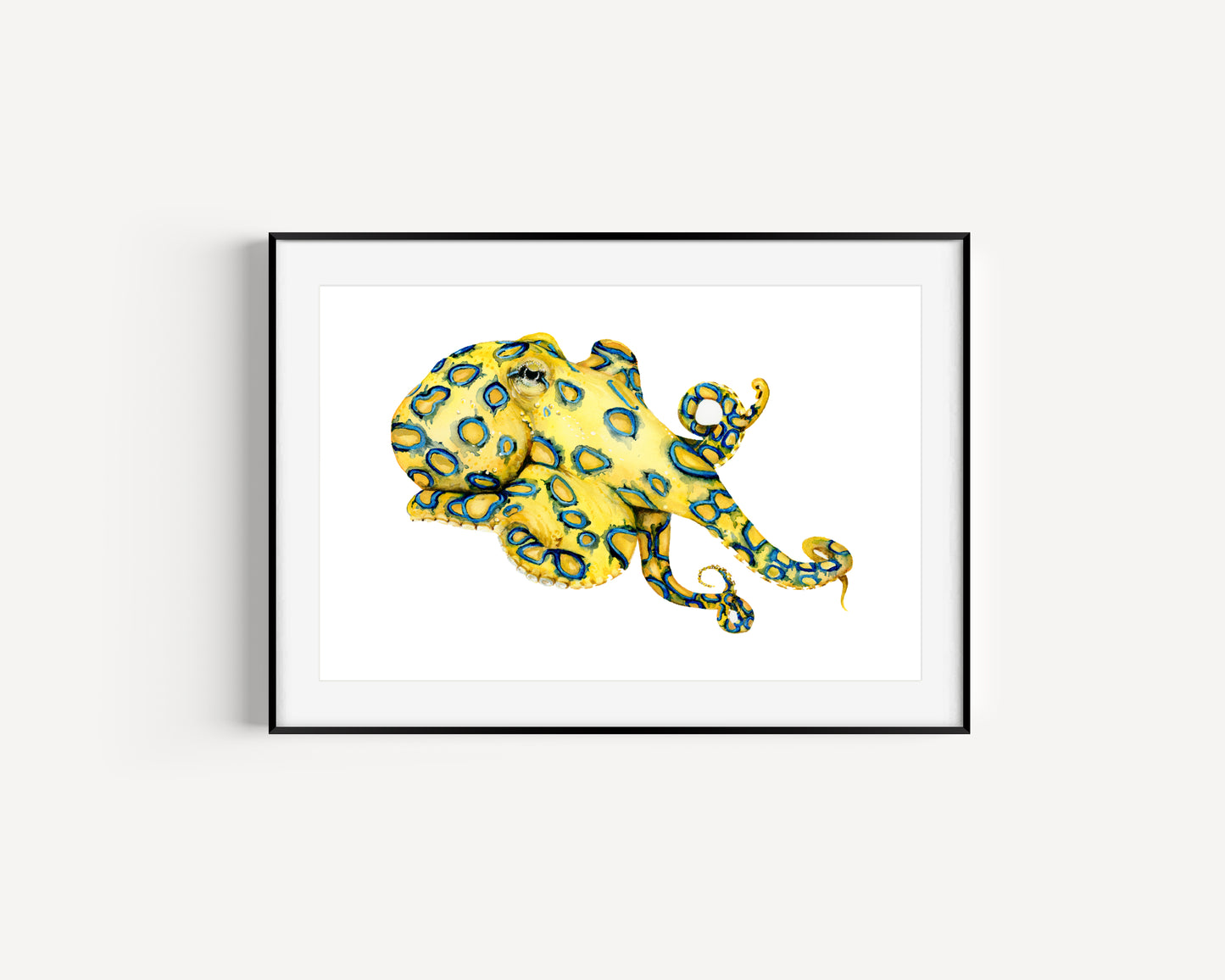 Blue Ringed Octopus Fine Art Print