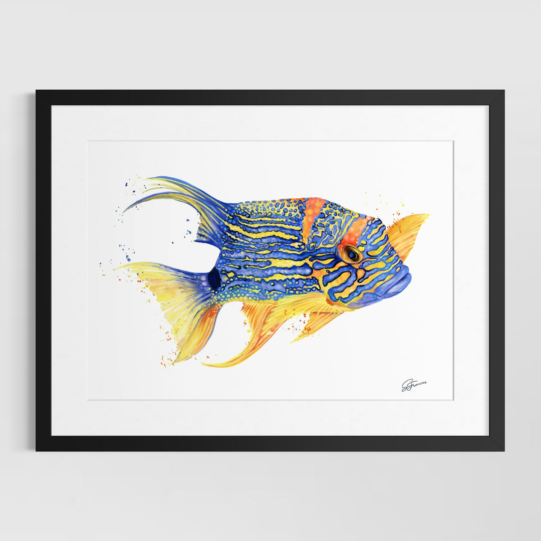 Framed artwork of a colorful fish on a white background