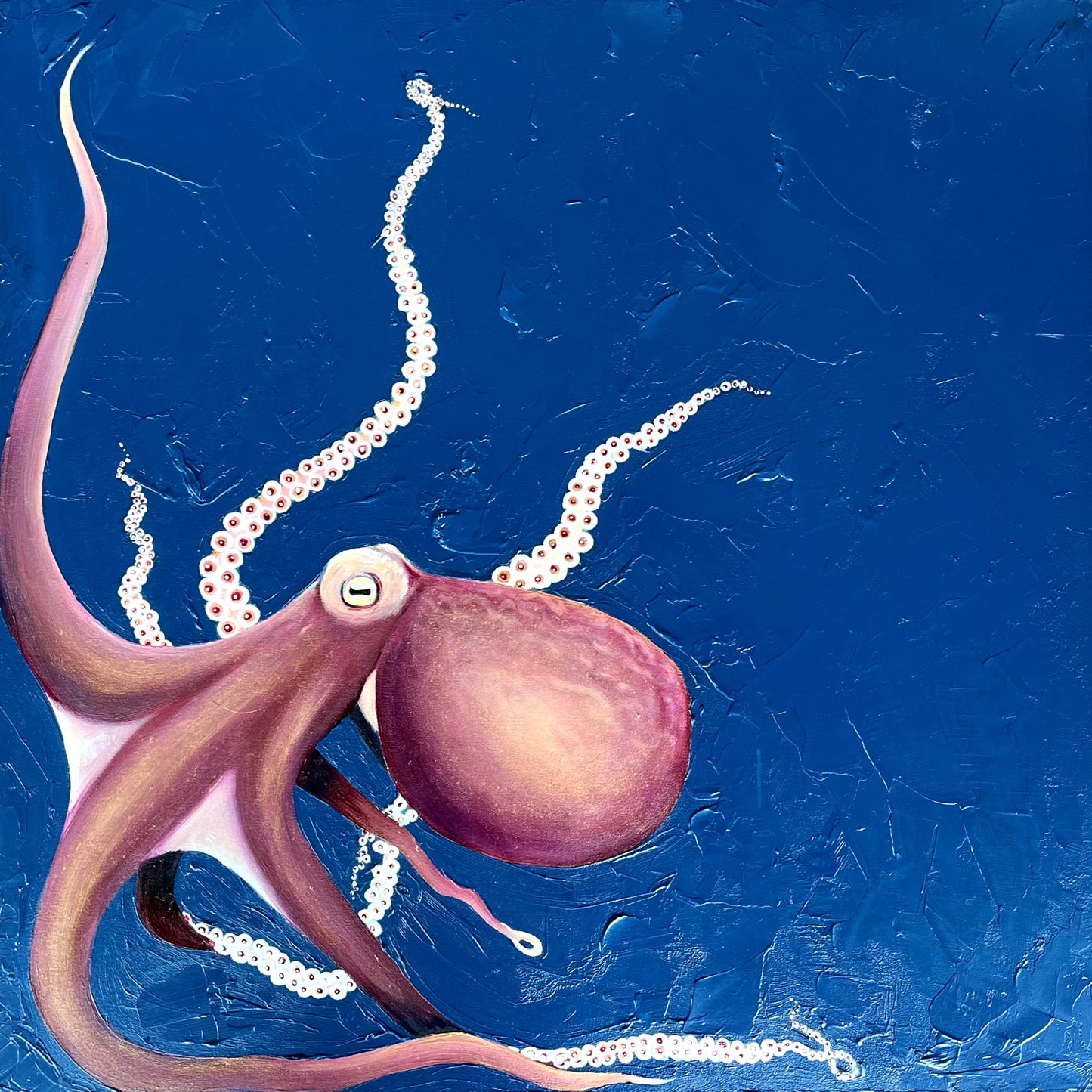 Oceanic Grace Octopus Original Oil