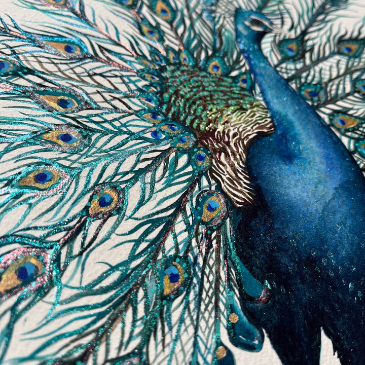 Close-up of a peacock's feathers with intricate patterns and colors.