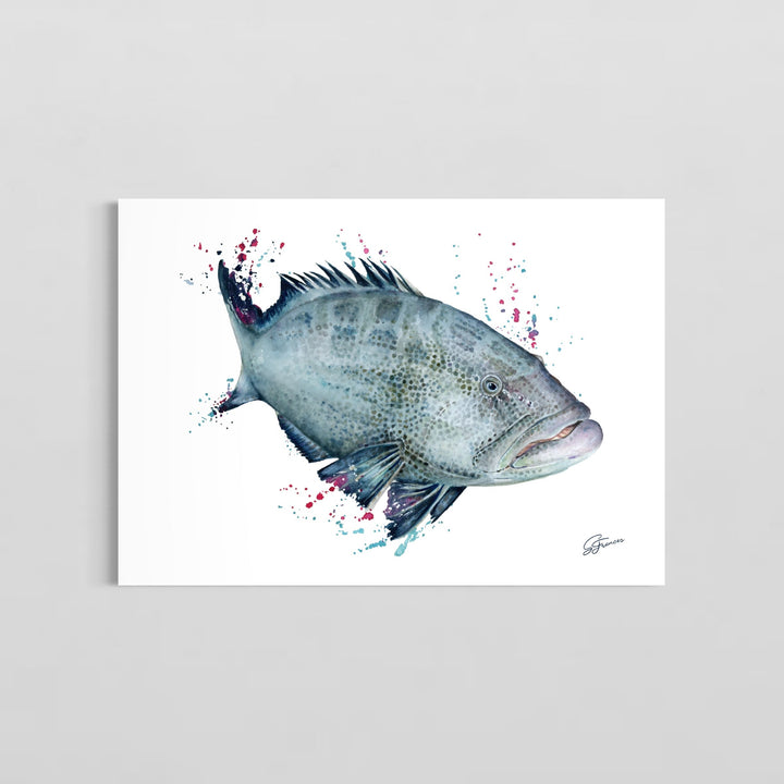 Fish painting on a white background