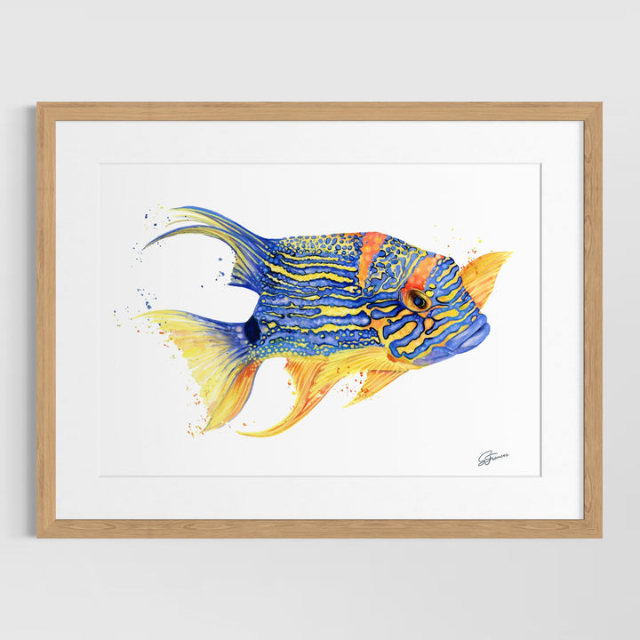 Framed artwork of a colorful fish on a white wall