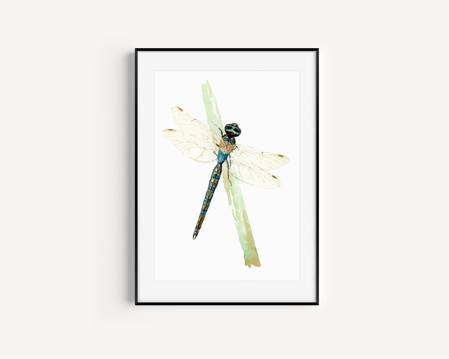 Dragonfly Reflection Fine Art Print