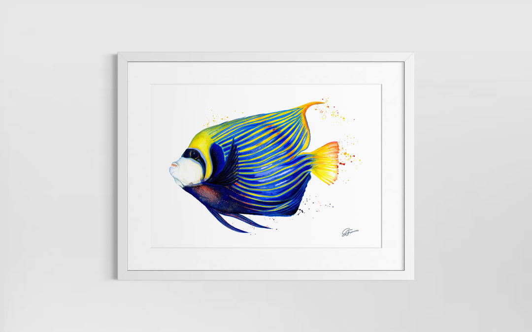 Framed artwork of a colorful fish on a white wall