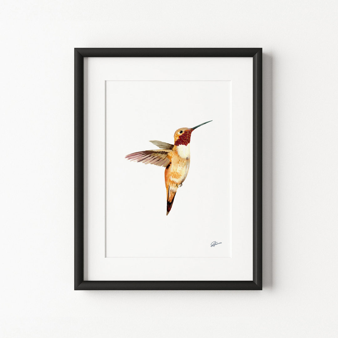 Framed artwork of a hummingbird on a white background