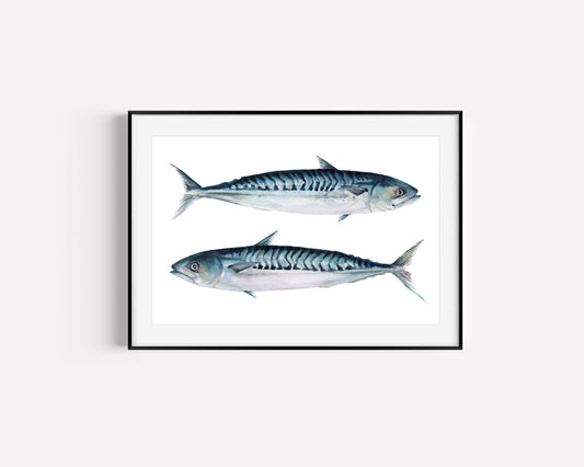 Fresh Catch Iridescent Green Mackerel Fine Art Print