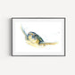 Green Sea Turtle Fine Art Print