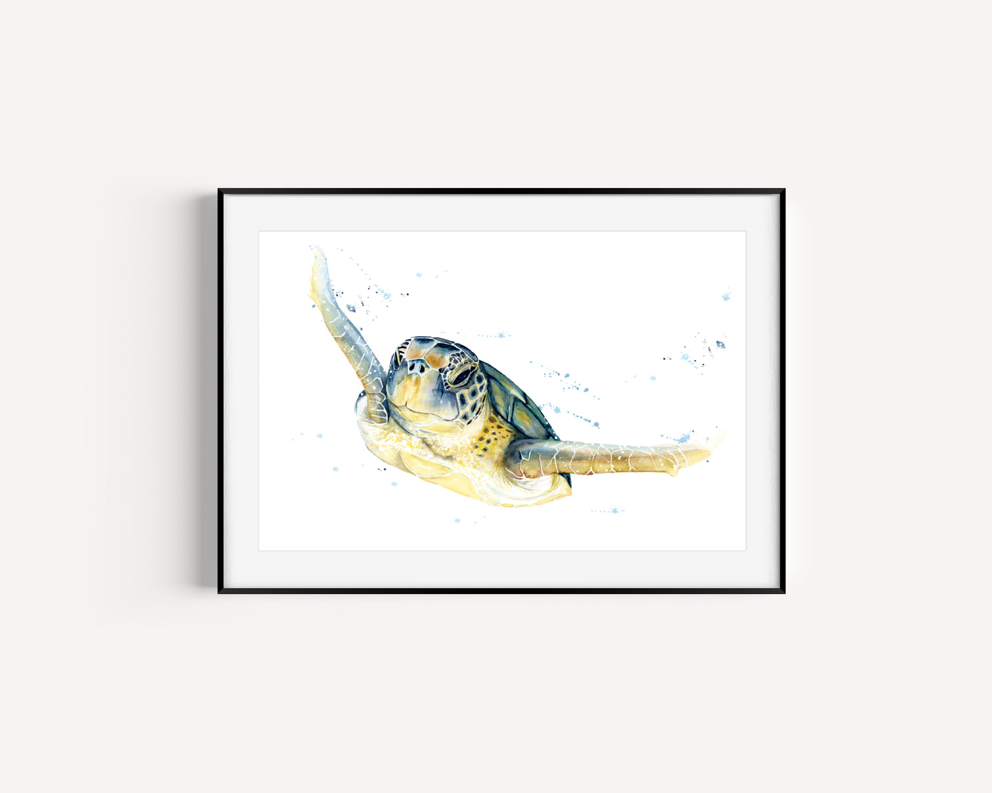 Green Sea Turtle Fine Art Print