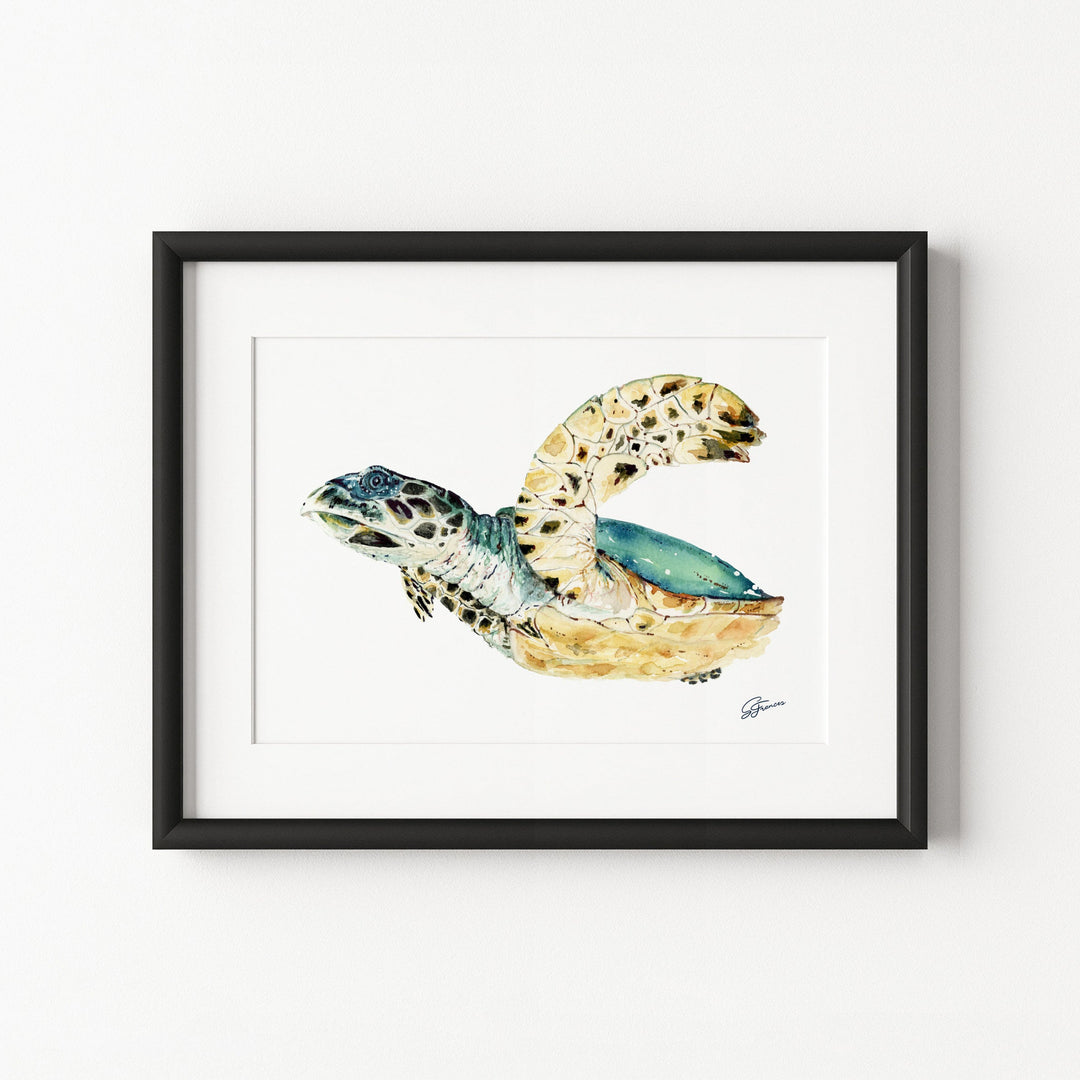 Framed artwork of a turtle on a white background