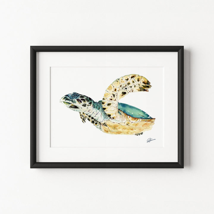 Framed artwork of a turtle on a white background