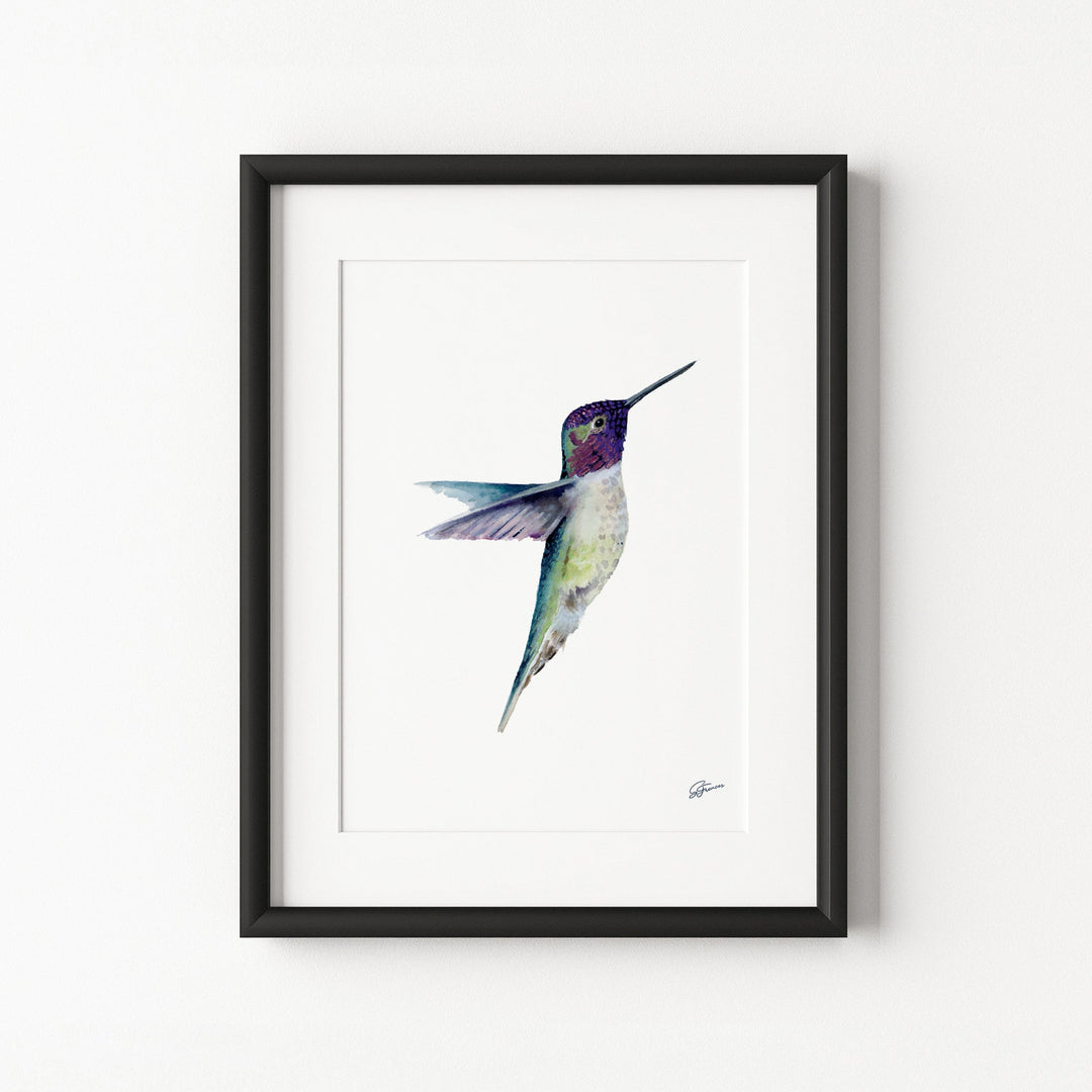 Framed artwork of a hummingbird on a white background