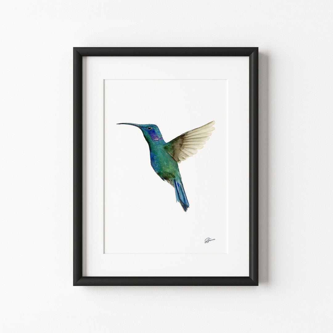 Framed artwork of a hummingbird on a white background