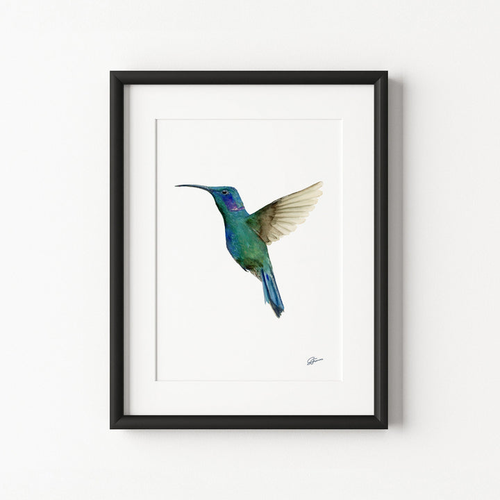 Framed artwork of a hummingbird on a white background