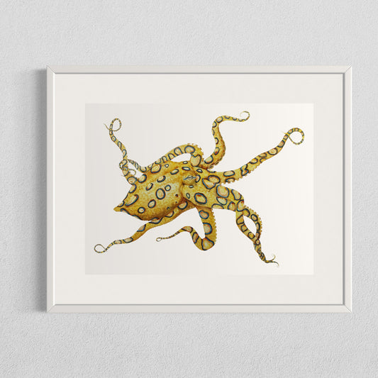 Blue Ringed Octopus - Original Framed Watercolour