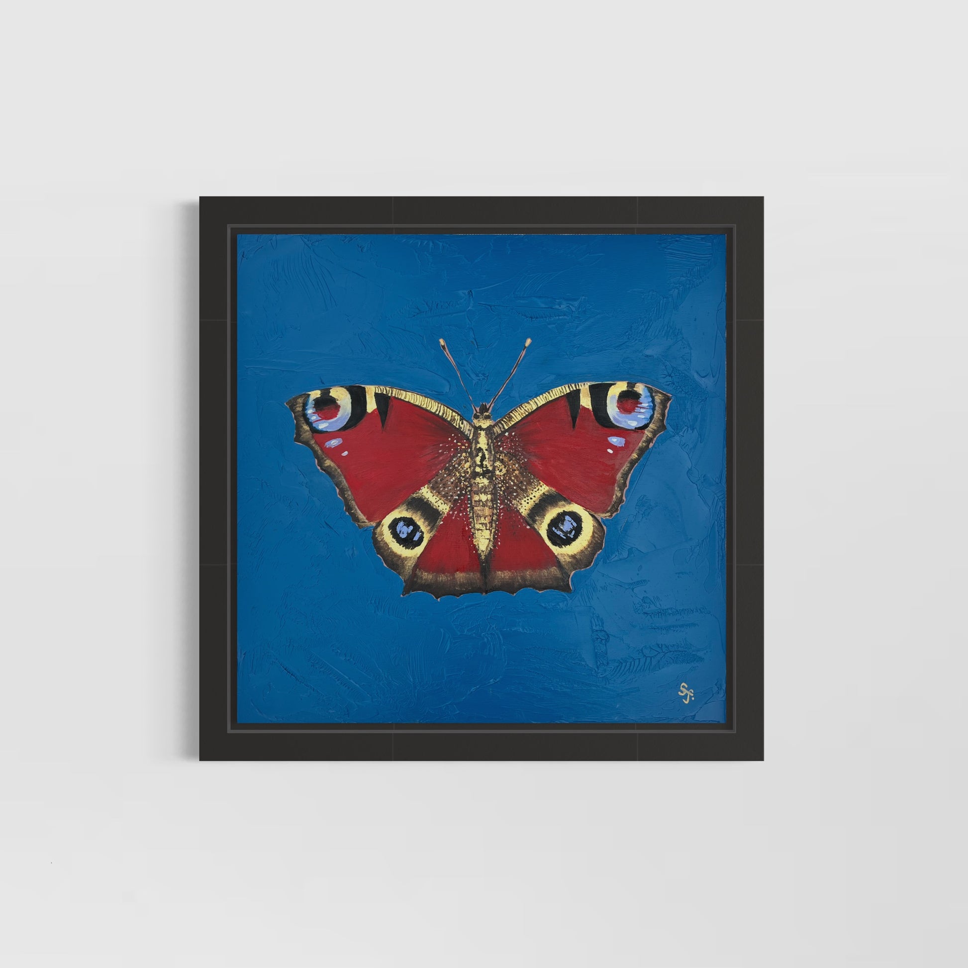 peacock butterfly in oil framedin bown frame