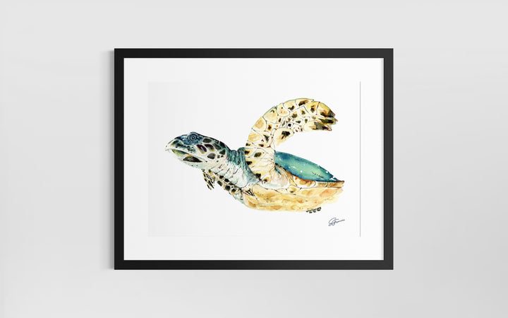 Hawksbill Sea Turtle Fine Art Print | Premium Collection