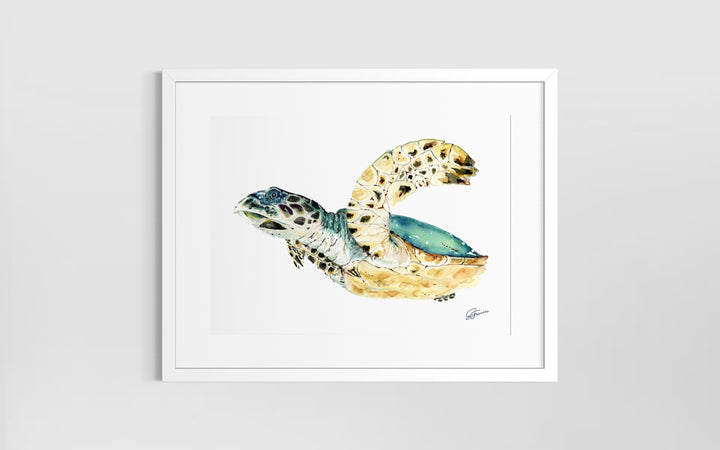 Hawksbill Sea Turtle Fine Art Print | Premium Collection