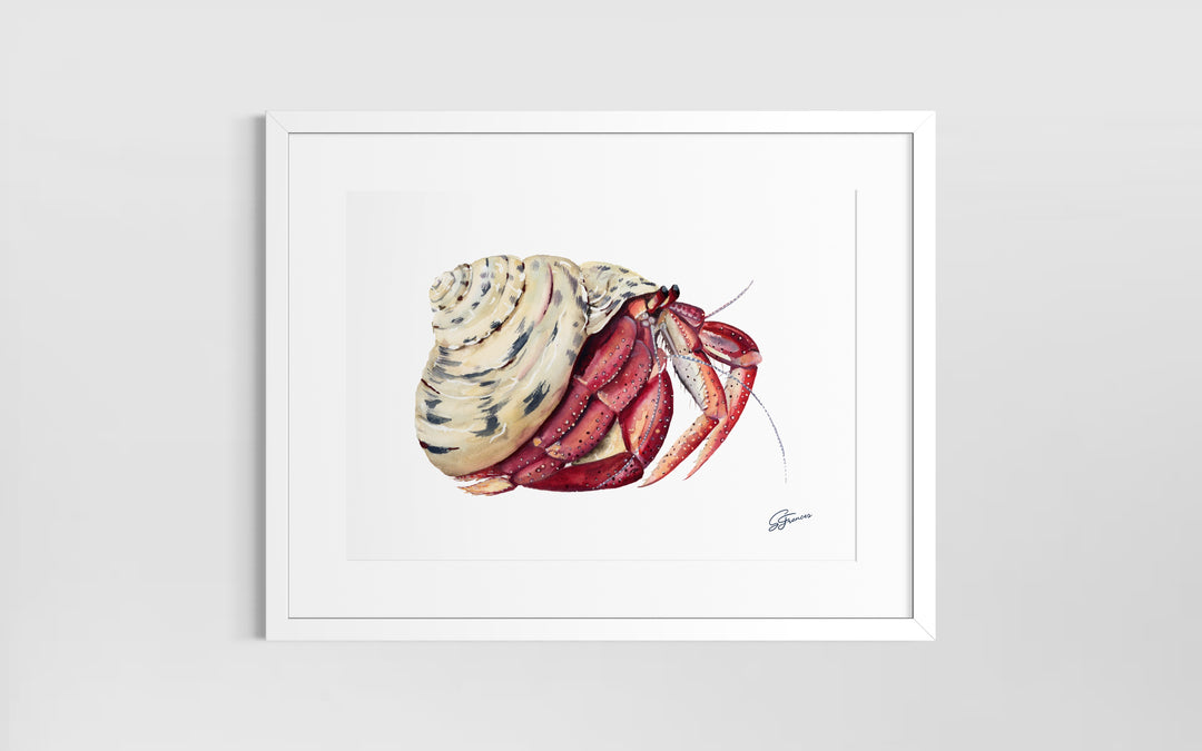 Premium collection: The wonder of the shore.