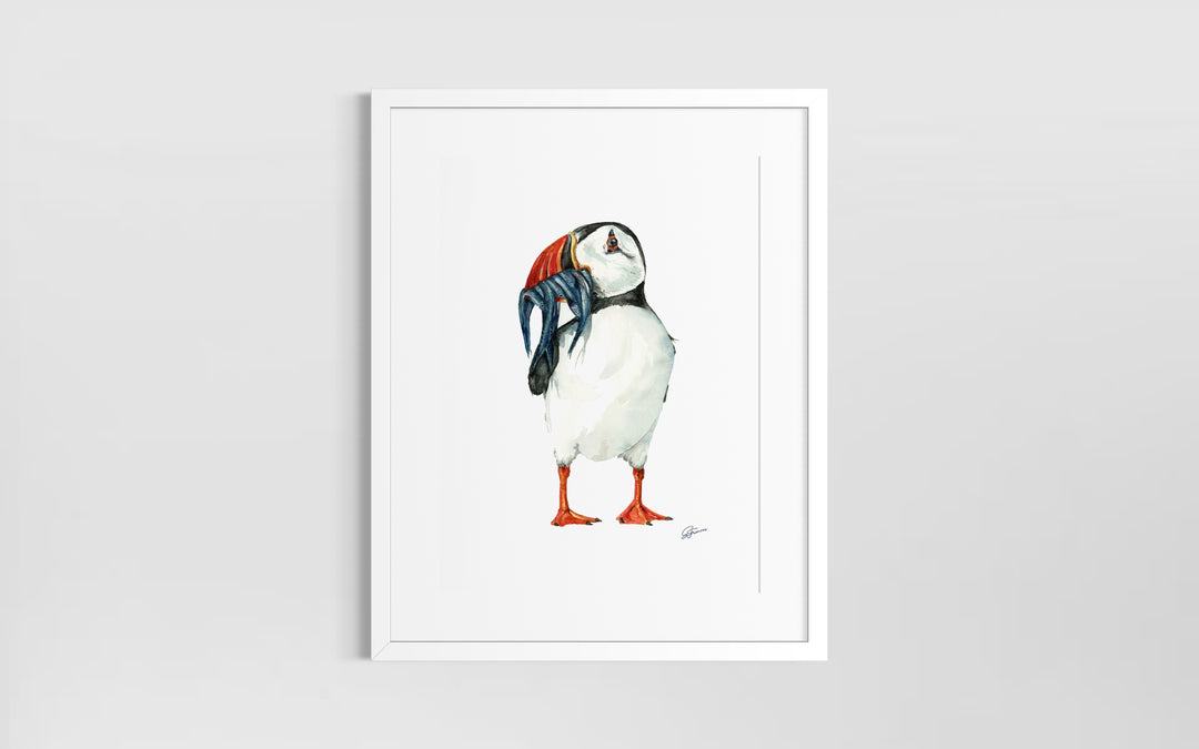 Clown of The Sea Watercolour Fine Art Print |  Premium Collection