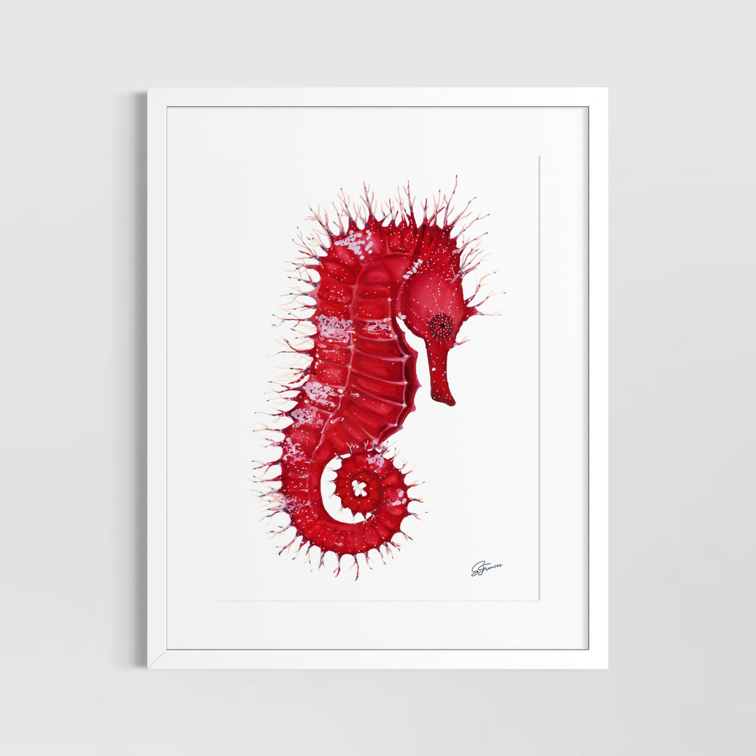 Framed artwork of a red seahorse on a white background