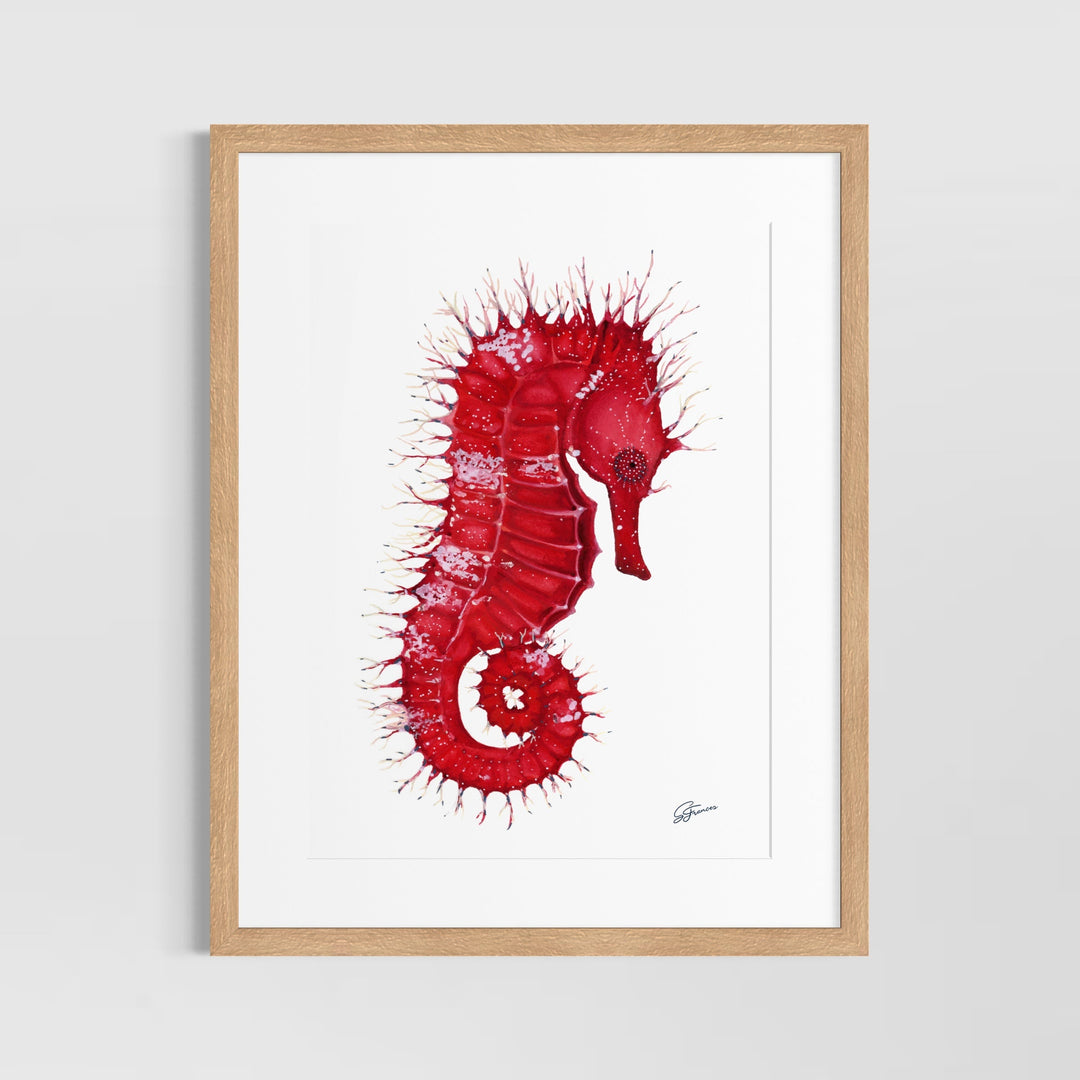 Framed artwork of a red seahorse on a white background
